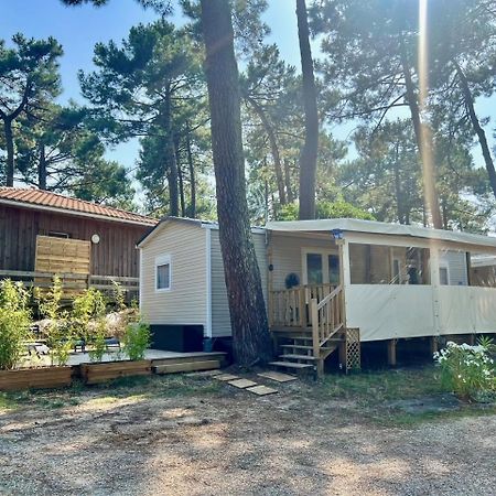 La Cabane Des Pins Lege-Cap-Ferret Luaran gambar