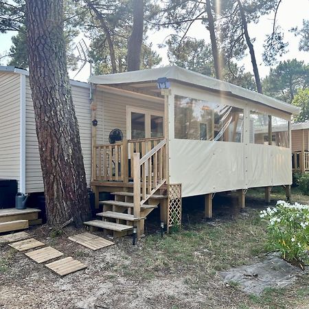 La Cabane Des Pins Lege-Cap-Ferret Luaran gambar