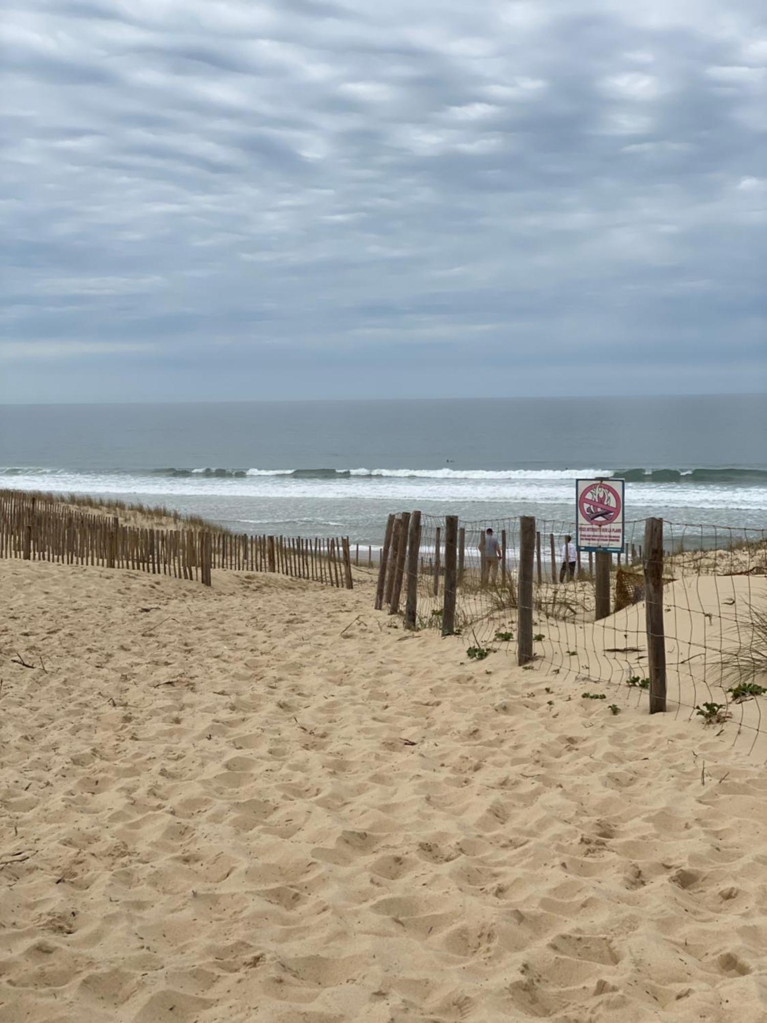 La Cabane Des Pins Lege-Cap-Ferret Luaran gambar