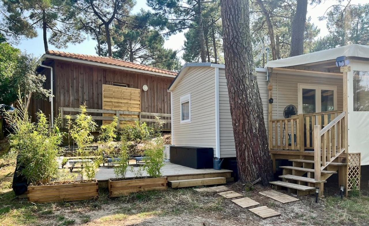 La Cabane Des Pins Lege-Cap-Ferret Luaran gambar