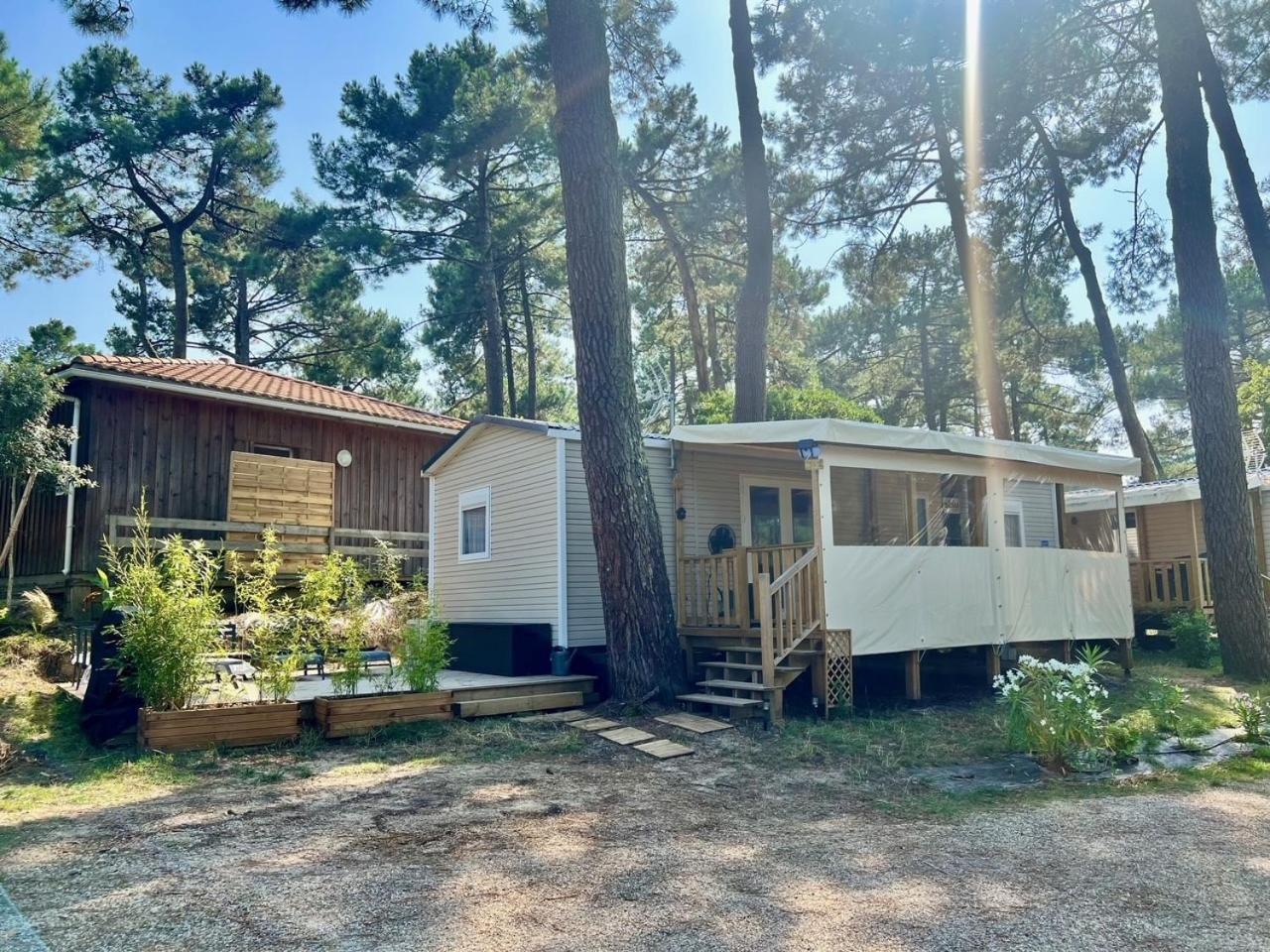 La Cabane Des Pins Lege-Cap-Ferret Luaran gambar